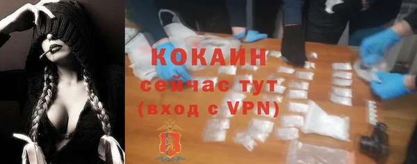 крисы Абдулино