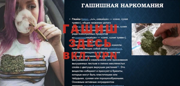 индика Болхов