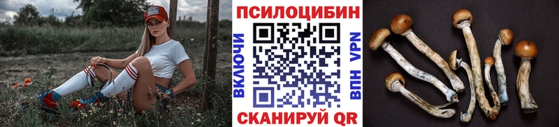 Галлюциногенные грибы GOLDEN TEACHER  Дальнереченск 
