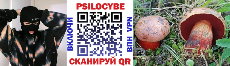 Псилоцибиновые грибы мицелий Дальнереченск